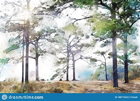 Abstract Painting Of Pine Trees In Forest Nature Landscape Image