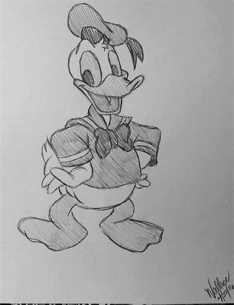 Disneys Donald Duck Sketch Drawing