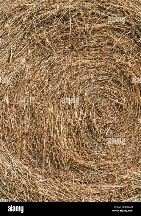 Haystack Pattern Hay Stack Background Hi Res Stock Photography And