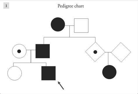 Pedigree Chart Males Are Indicated By Squares Females Are Circles Download Scientific