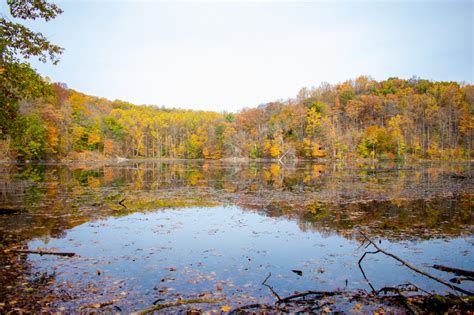 Forest ridge plaza, 24412 muirlands blvd i, lake forest, ca 92630, usa. The Best NJ Hiking Trails: Ghost Lake (Jenny Jump Forest ...