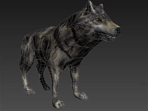 Low Poly Rigged Wolf 3d Model Game Ready Rigged Max Obj