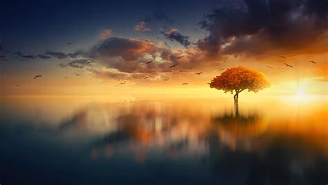 Download Wallpaper 5000x2830 Tree Horizon Sunset Photoshop Sea Hd