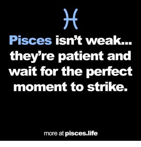 15 Top Pisces Meme Jokes Images And Pictures Quotesbae