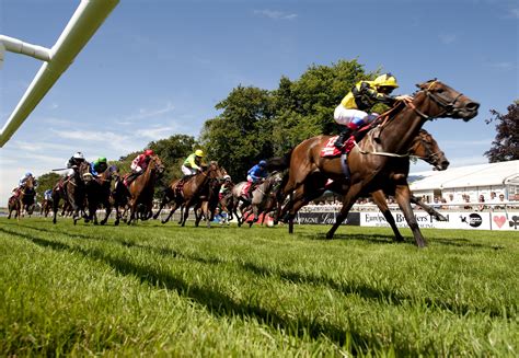 Newmarket July Course Horseracing Horse Racing Horse Aesthetic
