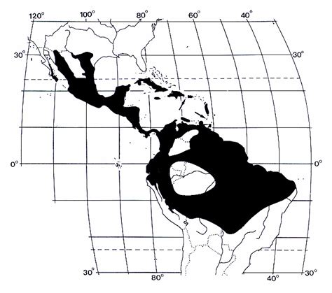 Mormoopidae Distribution Map