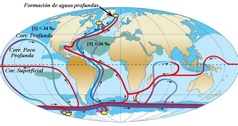 Circulación Termohalina Descubre Sobre Este Fenómeno De Los Océanos