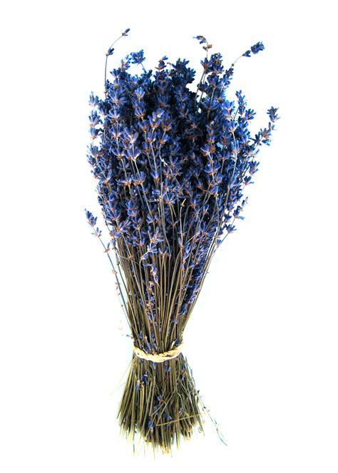 Certified Organic Dried Lavender Bouquets Home Essentials Lavender