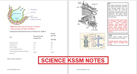 Science KSSM 2020 Updated Notes – Exam Tips UPSR PT3 SPM 2022/2023