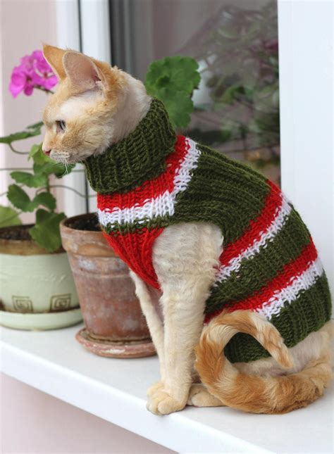 Cat Sweater Knitting Pattern Scarf Knitting Patterns Small Dog