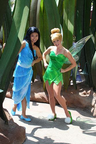 Tink And Silvermist Duo Halloween Costumes Tinker Bell Costume