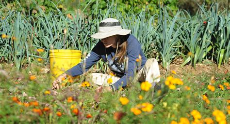 Planting Health Therapeutic Benefits Of Gardening Hello Homestead