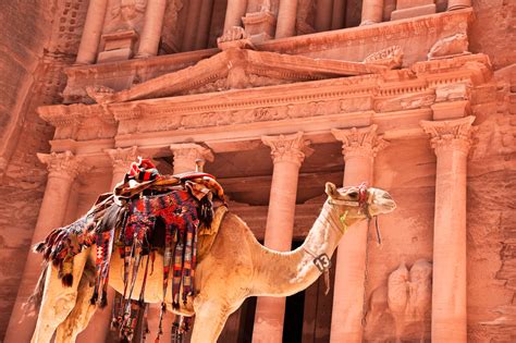 How We Create Your Jordan Tour Petra Nights Tours