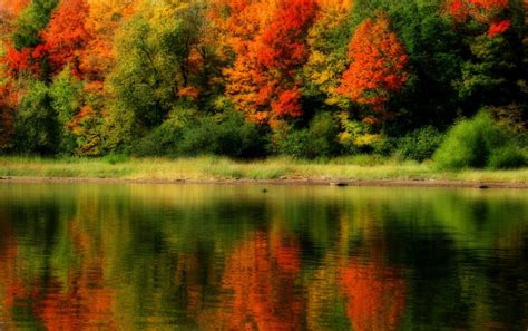 Autumn Around The Lake Wallpapers Wallpaper Cave