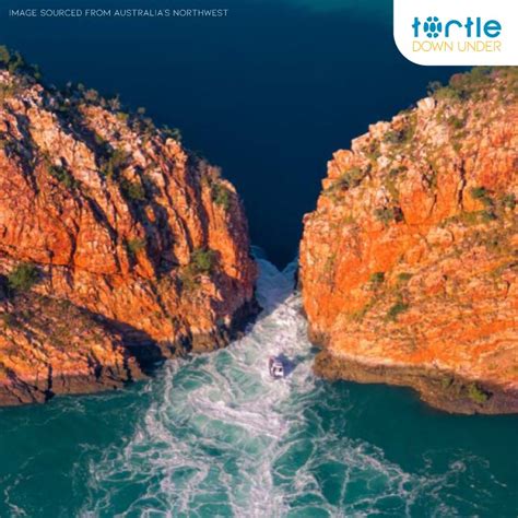 The Horizontal Falls Should Be On Everyones Bucket List Turtle Down