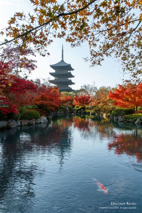 Kyoto Autumn Report