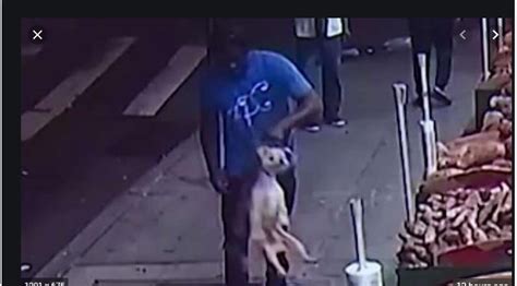 Dog Thief Caught On Camera Grabbing Pooch Outside Grocery Store Pet