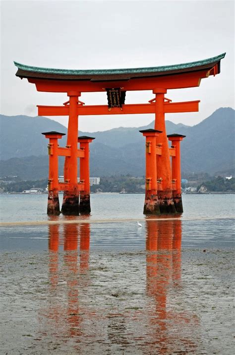 Le Torii 大鳥居 Flottant Ditsukushima Porte Du Japon Japanese Culture