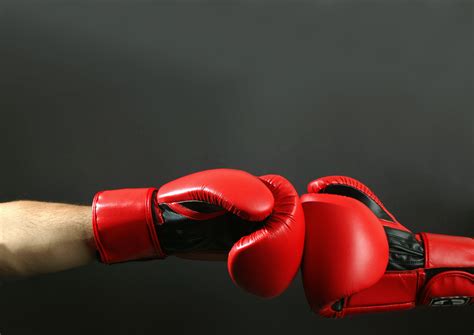Nyc Boxing Actividades Villa Actualidad