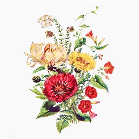 Download Premium Vector Of Vintage Summer Flowers Bouquet Vector About