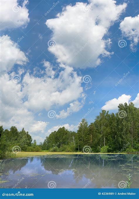 Pond And Clouds On Blue Sky Stock Image Image Of Pond Relax 4236989