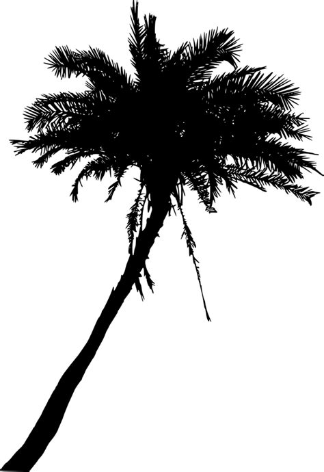 We did not find results for: 20 Palm Tree Silhouette (PNG Transparent) Vol. 2 | OnlyGFX.com