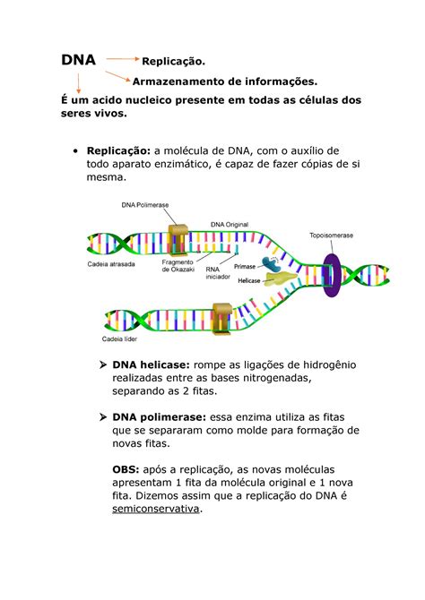 DNA Resumo Detalhada Dos Processos Referentes Ao DNA DNA