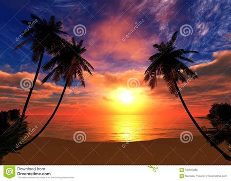 Beautiful Sea Sunset Panorama Of The Ocean Stock Image