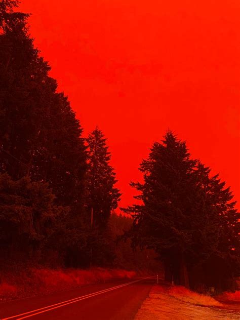 Oregon Wildfires Turned An Enchanted Forest Into A Nightmare Photos