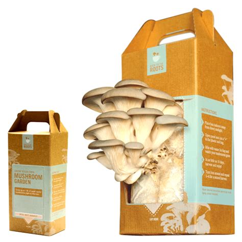 The Best Mushroom Growing Kits And Logs 2022 Birds And Blooms