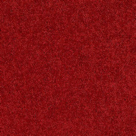 Trafficmaster Alpine Color Passion Texture 15 Ft Carpet Hdd8685852