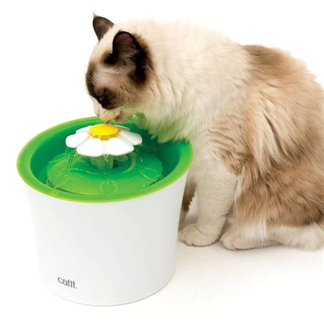 19 Amazing Products Youll Want To Spoil Your Cat With Right Meow