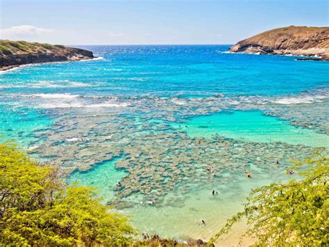 Hanauma Bay Snorkeling Tours Book Oahu Tours Activities And Things To