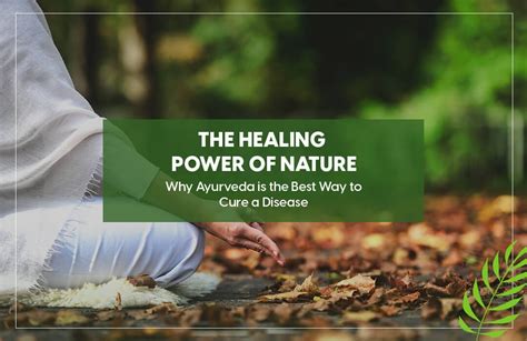 The Healing Power Of Nature Why Ayurveda Is The Best Way To Cure A