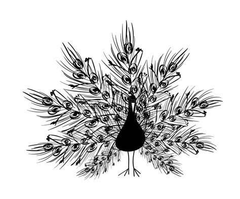 Peacock Silhouette Clip Art Peacock Clipart Black And White Peacock