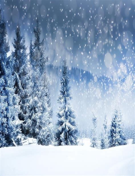 Winter Snow Covered Fir Tree Photography Backdrop N 0026 Winter Forest
