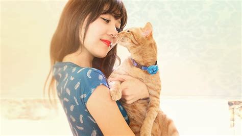 11 reasons your crazy cat obsession makes you happier and healthier everyday health