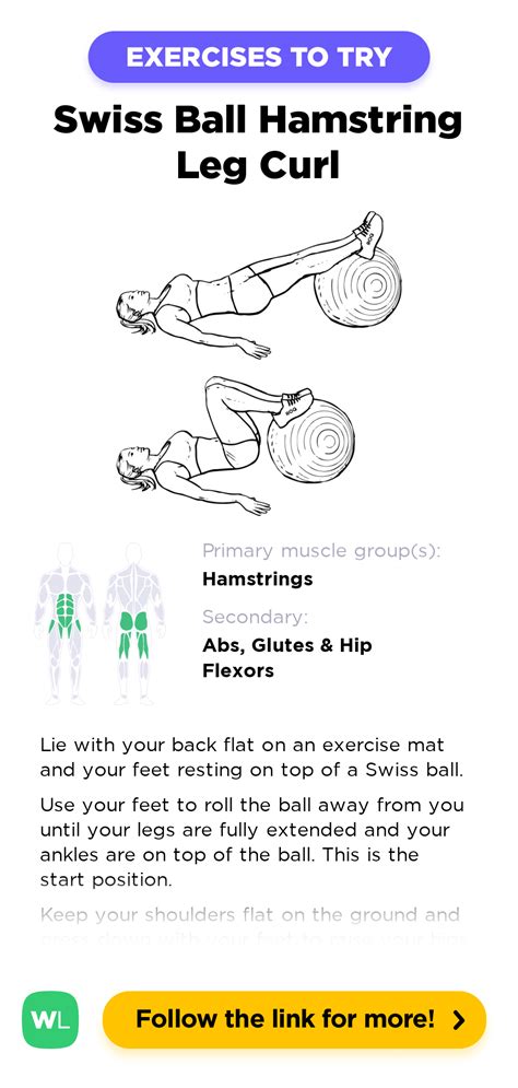Swiss Ball Leg Curl Hip Flexor Mat Exercises Workout Guide