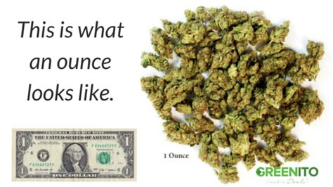 Some scales can be set to measure weed in grams or in ounces, depending on the size of what you are measuring. How Many Grams In An Ounce Of Cannabis? — Smoke