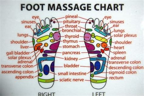chinese acupuncture foot chart | Reflexology chart, Reflexology foot