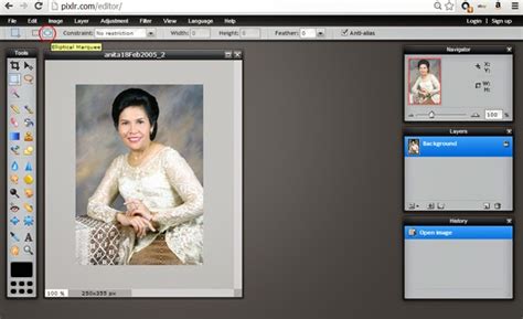 Cara Membuat Foto Menjadi Bulat Secara Online | Anita Handayani