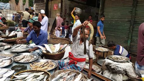 Famous Local Fish Market Noya Bazar Old Dhaka Bangladesh All Fishes