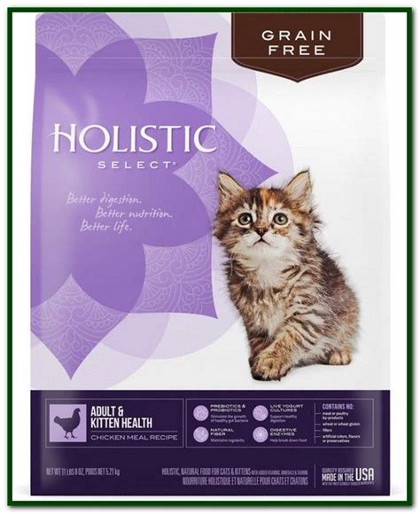 The best food for your cat is a high protein low carbohydrate diet. Holistic Vet Recommended Cat Food (With images) | Dry cat ...