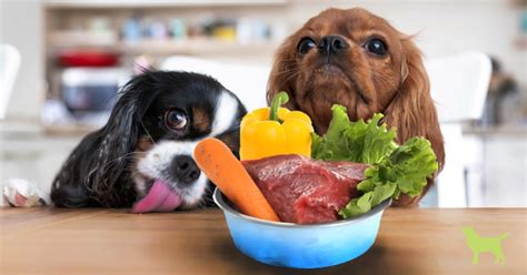 Your dog's dietary needs vary by activity level, metabolic rate, age, breed, outdoor temperature and other variables. Raw Feeding Primer: 10 Simple Rules To Get Started
