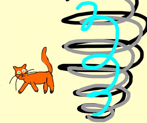 Cat In A Tornado Drawception