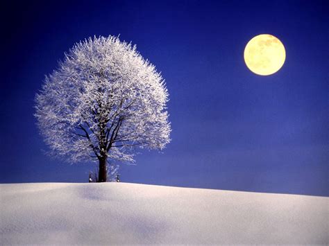 Winter Moon Wallpapers Top Free Winter Moon Backgrounds Wallpaperaccess