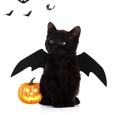 Bat Costume Best Cat Costumes For Halloween 2020 Popsugar Pets Photo 8