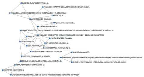 Aragón Regional Network Of Entities Graphical Representation Showing