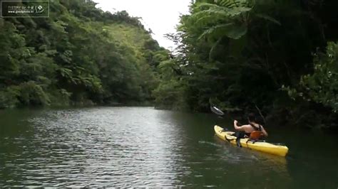 Japan Okinawa Yanbaru Forest Canoeing By Sony Nex 5 Avhcd Youtube