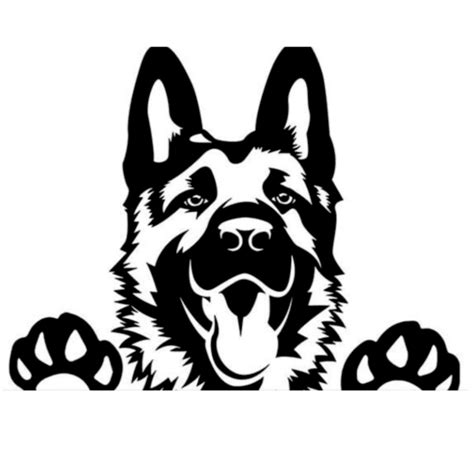 A Black And White German Shepherd Dog With Paw Prints